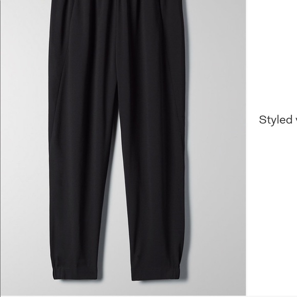 Aritzia dexter pants - Picture 4 of 5